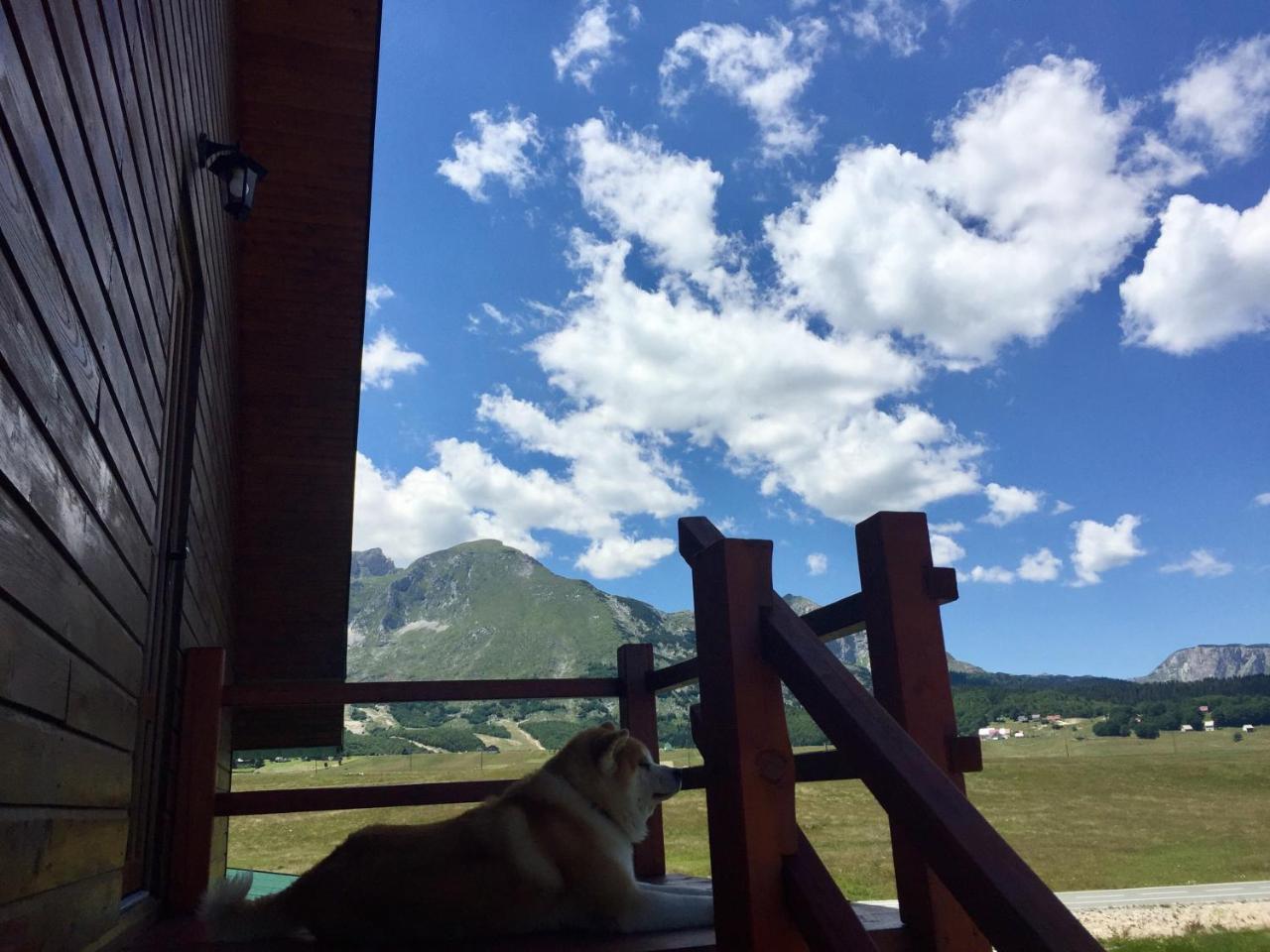 B&B Izvor Жабляк Экстерьер фото